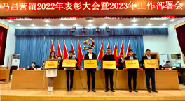 yh86银河国际荣获2022年度平谷区马昌营镇优秀纳税企业